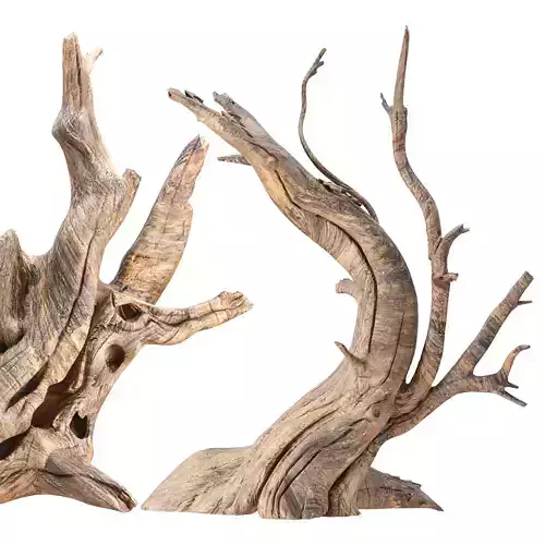 Driftwood 3D Model Collection Vol 330