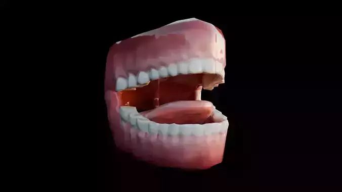 Mouth 3D Model  Game Ready 
