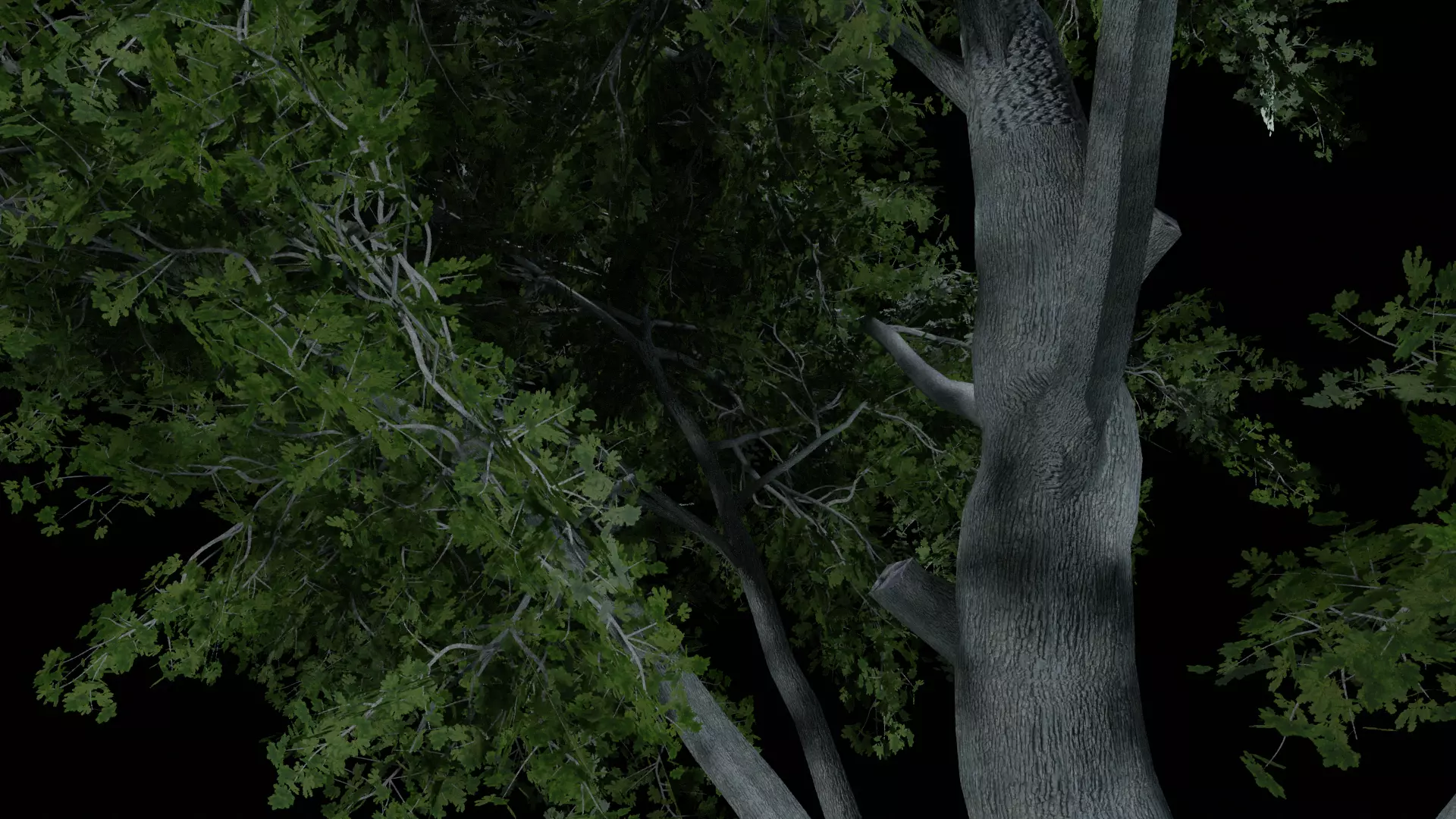 Realistic White Oak Tree Game Ready with LODs and Billboard Low-poly 3D model_8