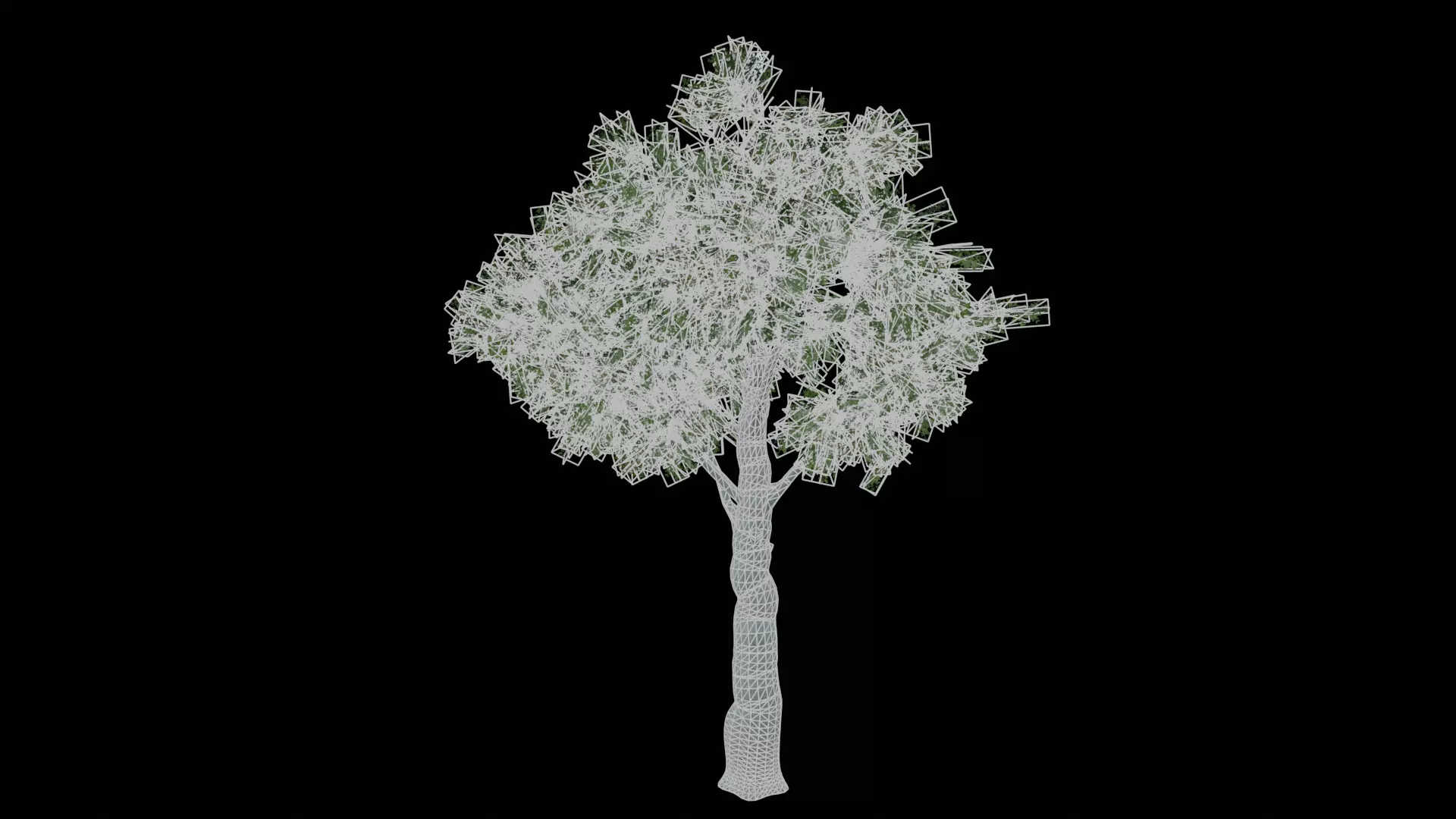 Realistic White Oak Tree Game Ready with LODs and Billboard Low-poly 3D model_1