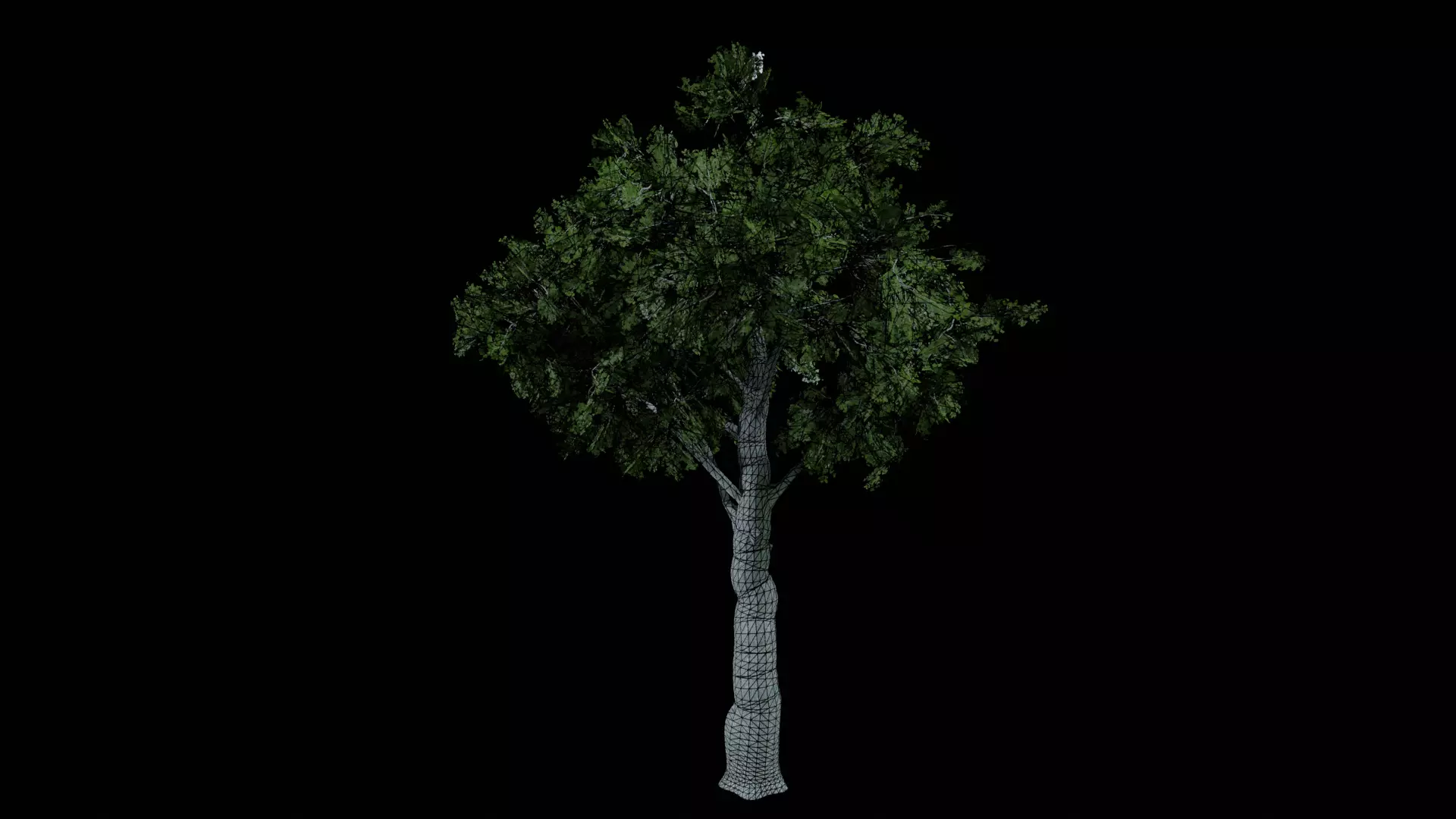 Realistic White Oak Tree Game Ready with LODs and Billboard Low-poly 3D model_0