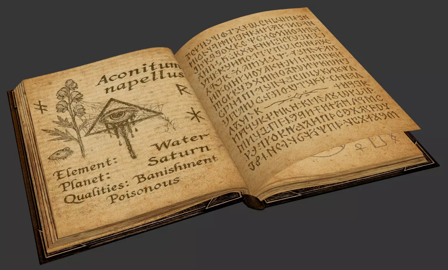 Magic Book Low-poly 3D model_0