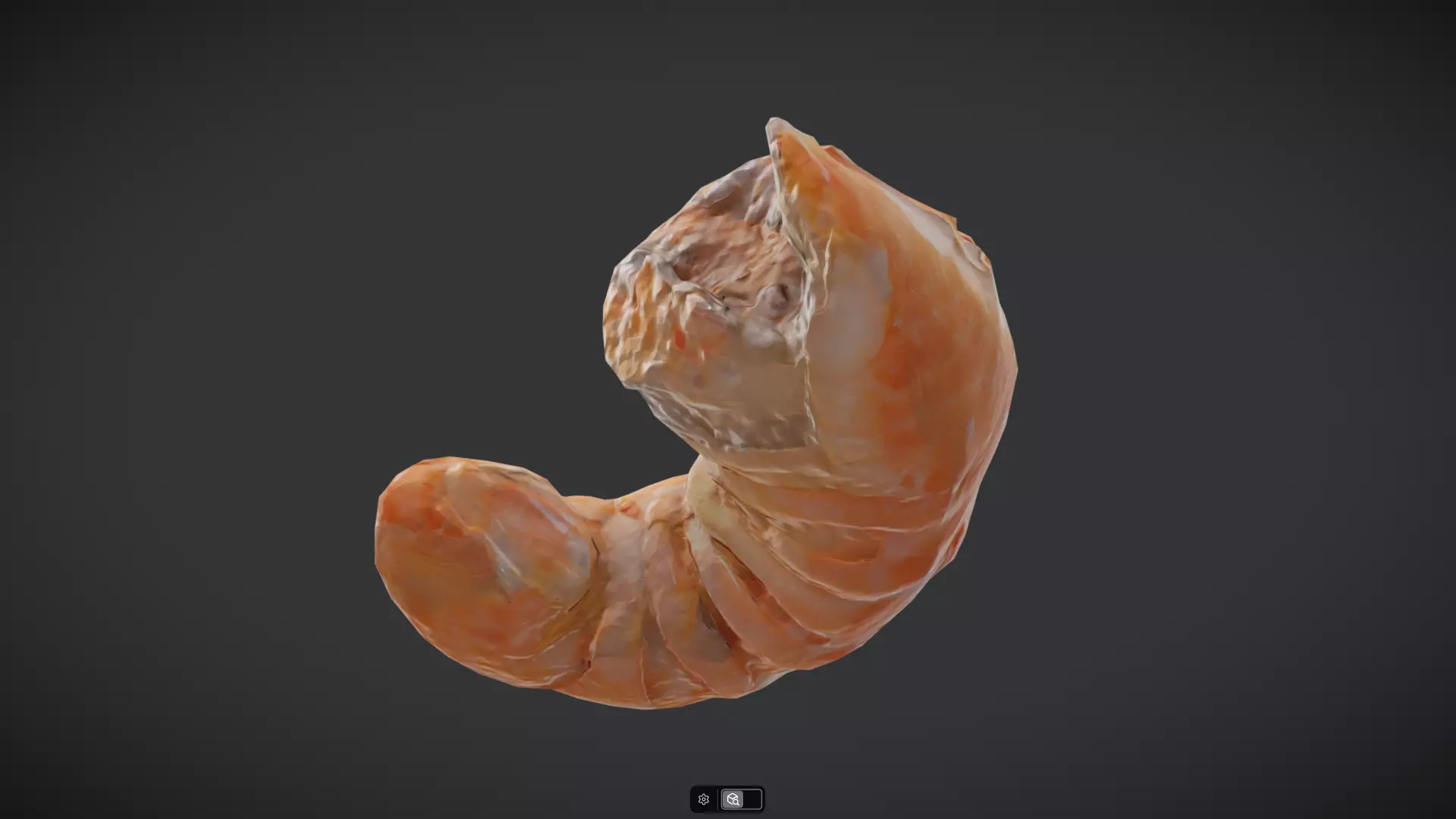 Shrimp Low-poly 3D model_3