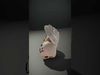 Playful Seashell model pack Low-poly 3D model_2