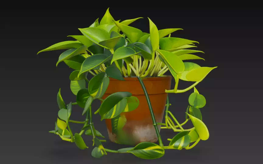 Realistic 3D Pothos Money Plant in Clay Pot 3D model