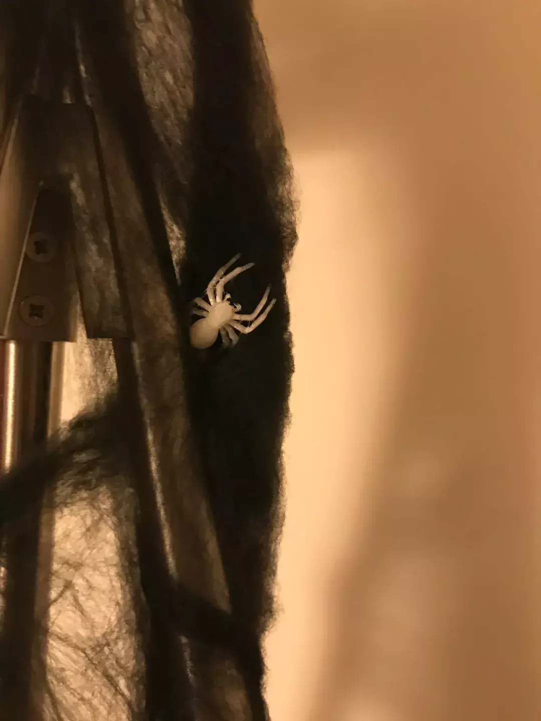 Spider Halloween Prop STL  3D print model_1