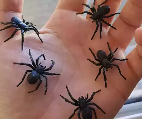 Spider Halloween Prop STL  3D print model