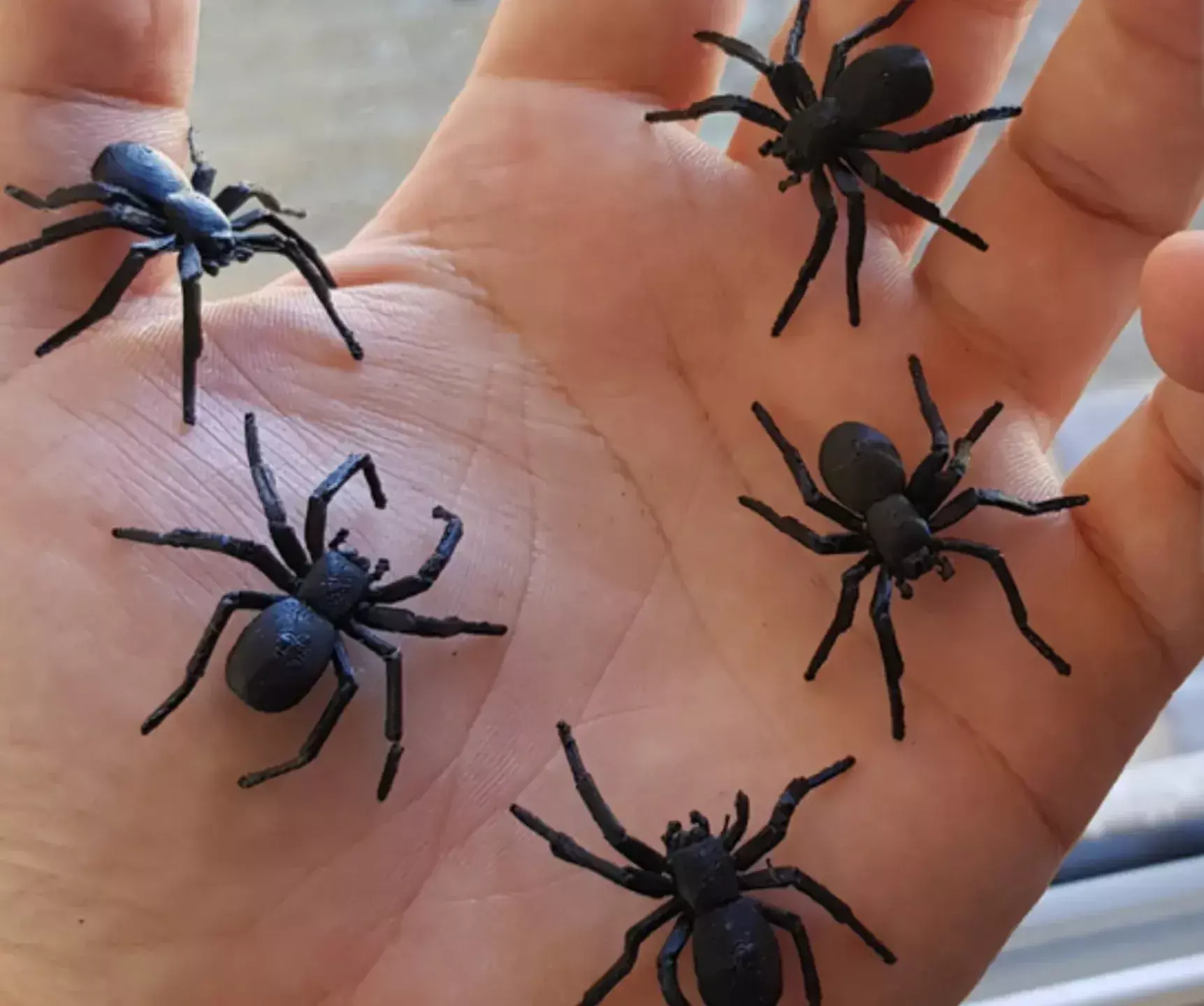 Spider Halloween Prop STL  3D print model_0