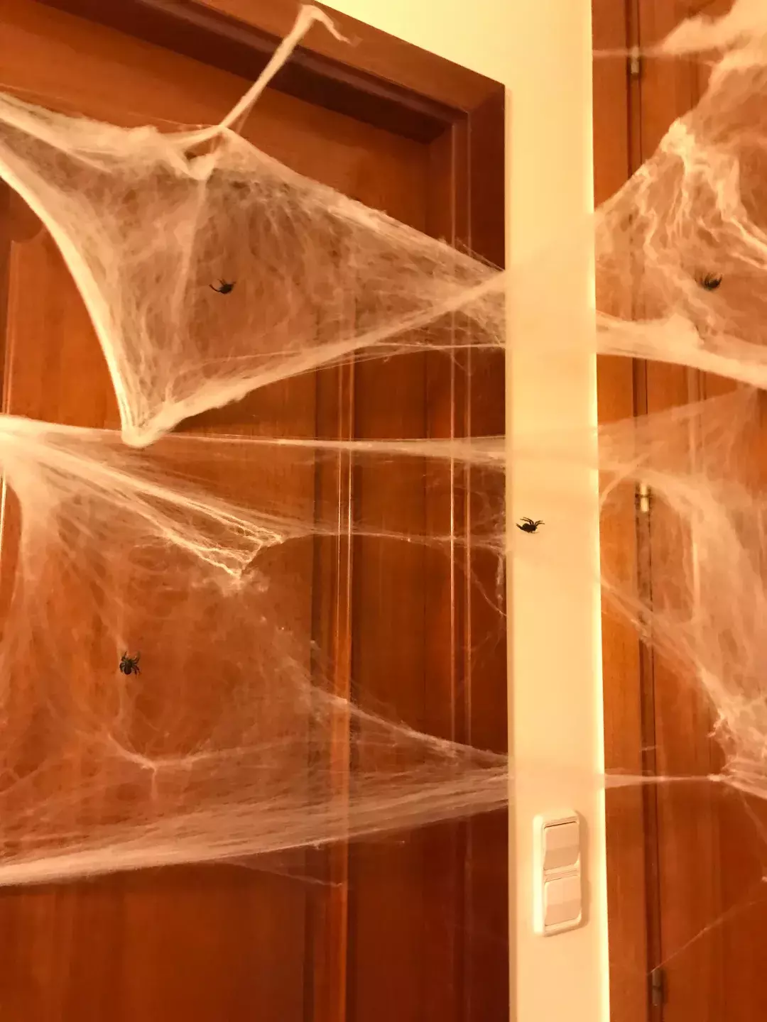 Spider Halloween Prop STL  3D print model_4