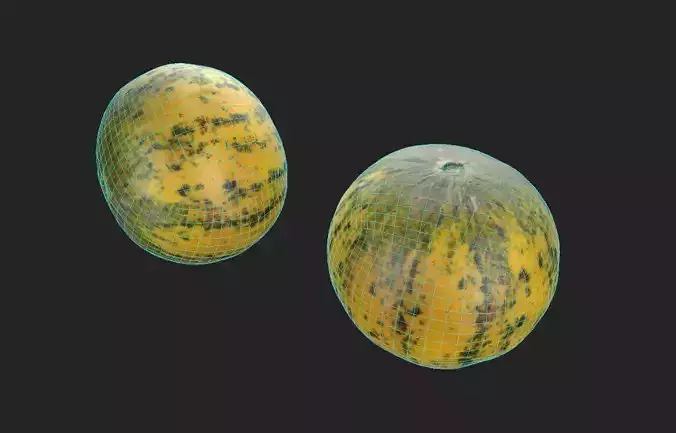 Melon M01 Low-poly 3D model 7