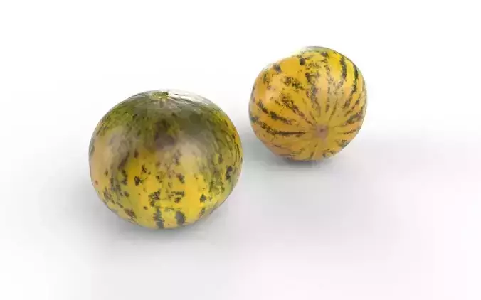 Melon M01