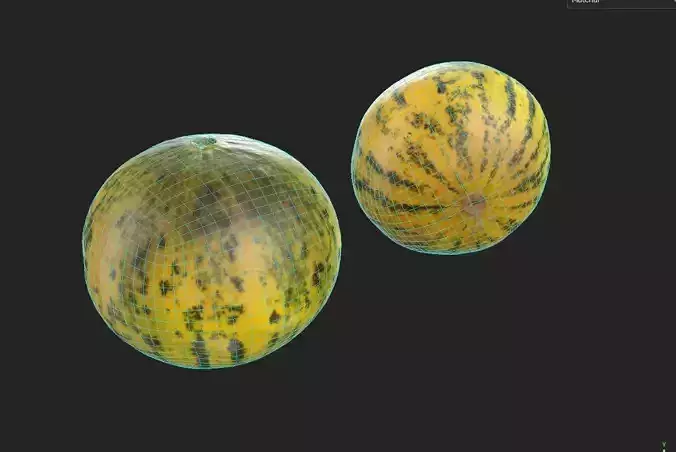 Melon M01 Low-poly 3D model 2
