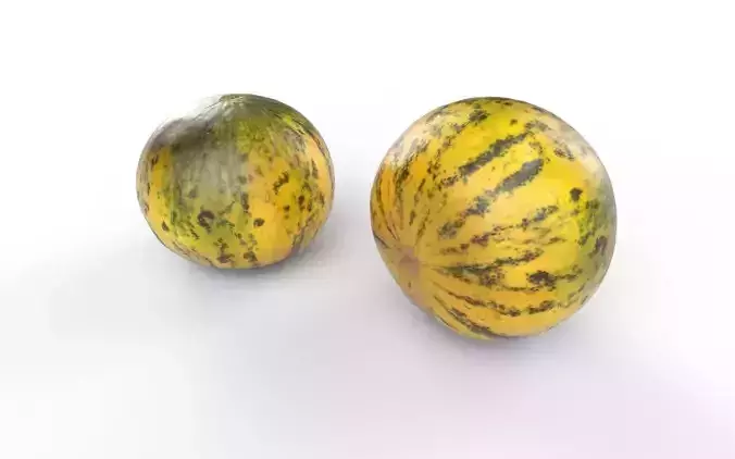 Melon M01 Low-poly 3D model 4