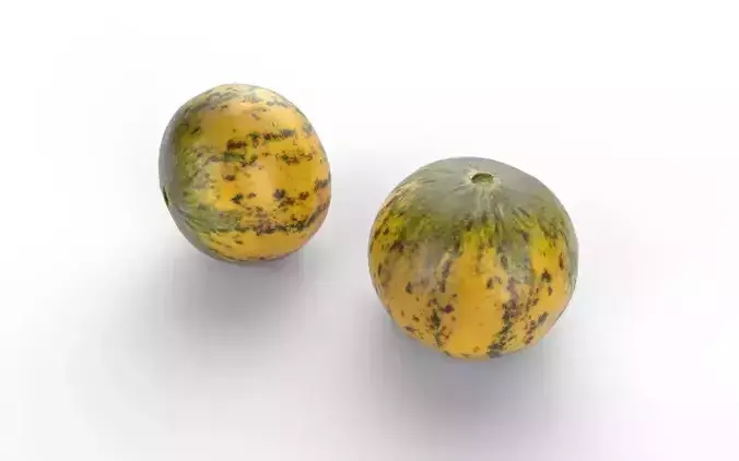 Melon M01 Low-poly 3D model 6