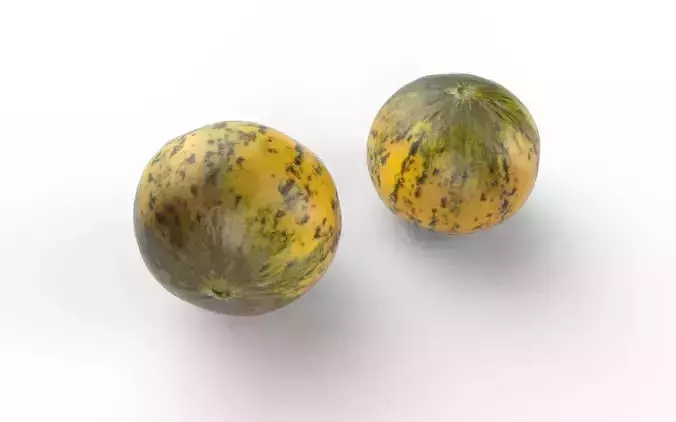 Melon M01 Low-poly 3D model 5