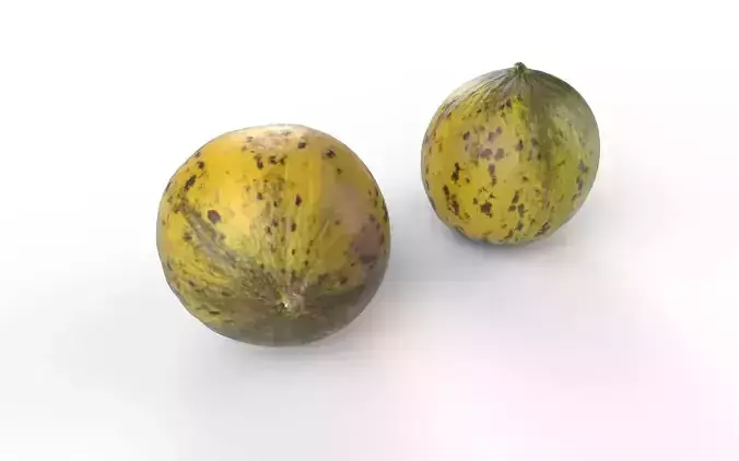 Melon M03