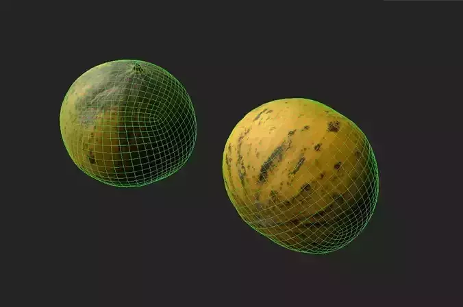 Melon M04 Low-poly 3D model 6