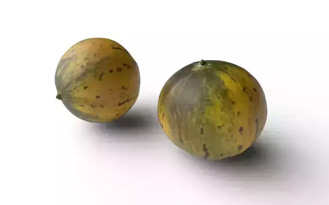 Melon M04 Low-poly 3D model 3
