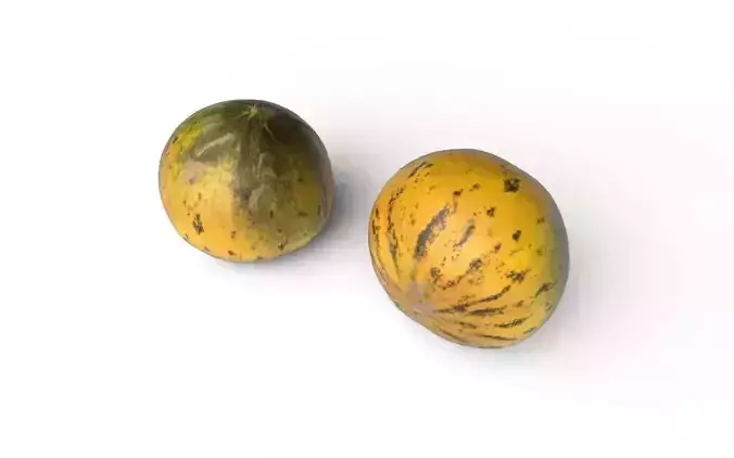 Melon M04 Low-poly 3D model 5