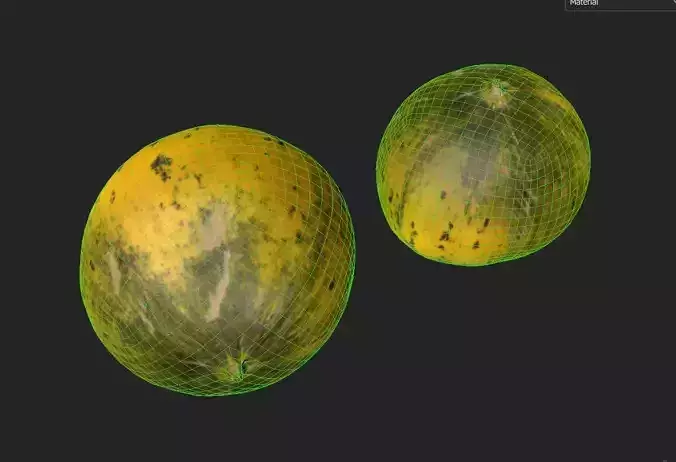 Melon M04 Low-poly 3D model 2