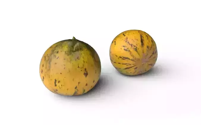 Melon M04 Low-poly 3D model 4