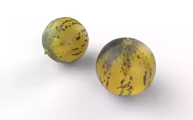 Melon M07 Low-poly 3D model 6