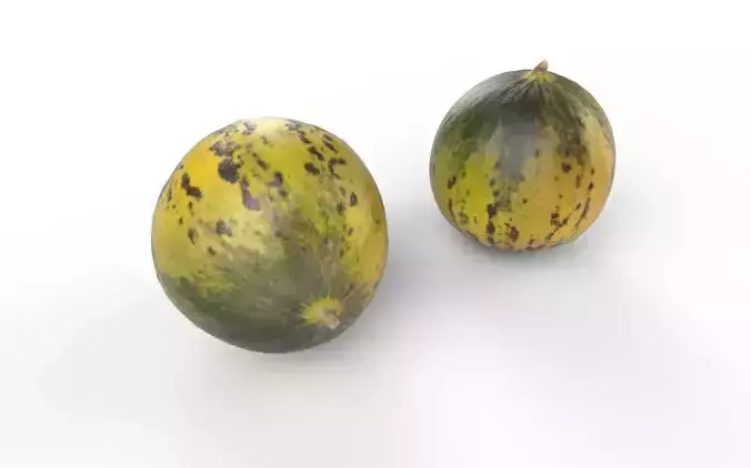 Melon M07 Low-poly 3D model 5