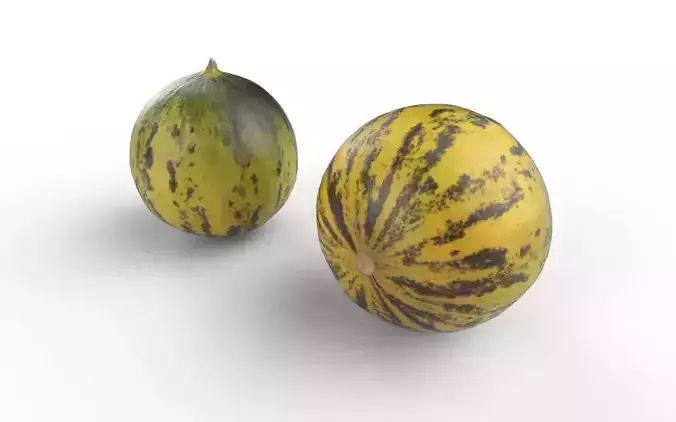 Melon M07 Low-poly 3D model 4