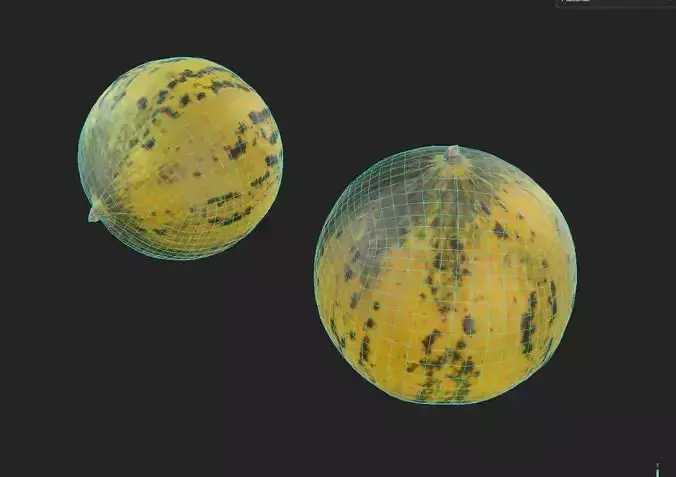 Melon M07 Low-poly 3D model 7