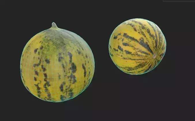 Melon M07 Low-poly 3D model 2