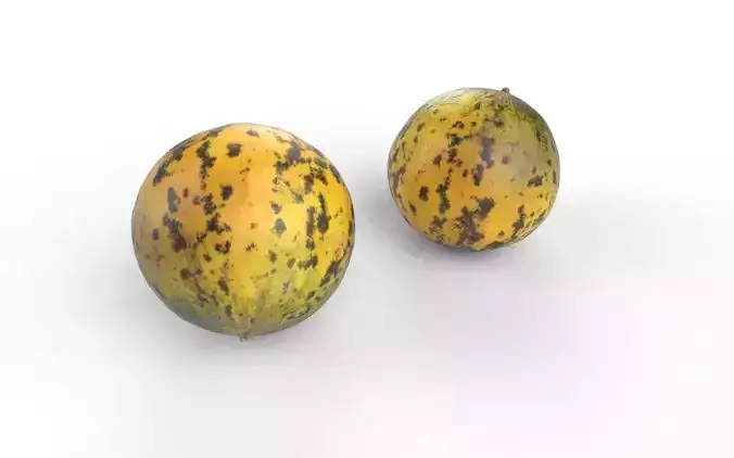Melon M08 Low-poly 3D model 5