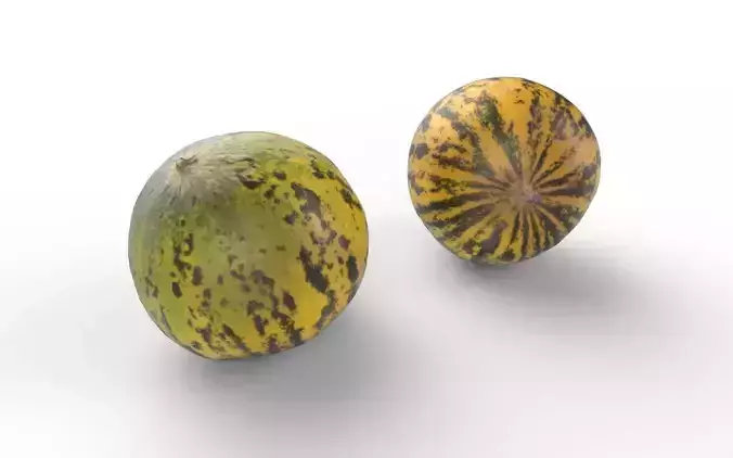 Melon M08