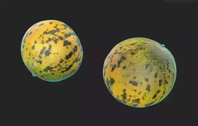 Melon M08 Low-poly 3D model 7