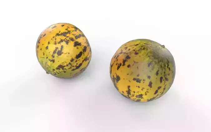 Melon M08 Low-poly 3D model 6