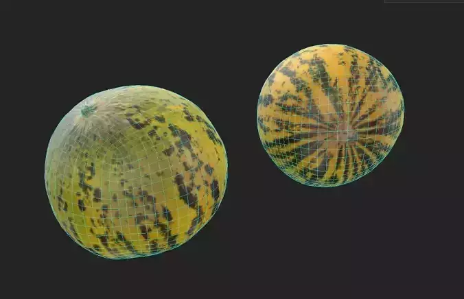 Melon M08 Low-poly 3D model 2