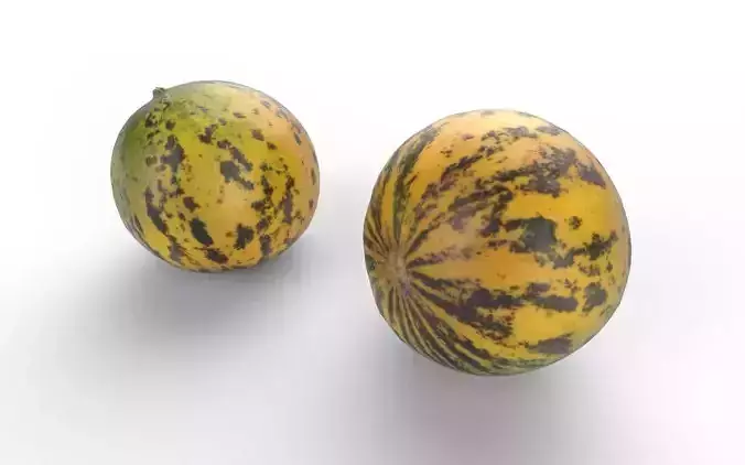 Melon M08 Low-poly 3D model 4