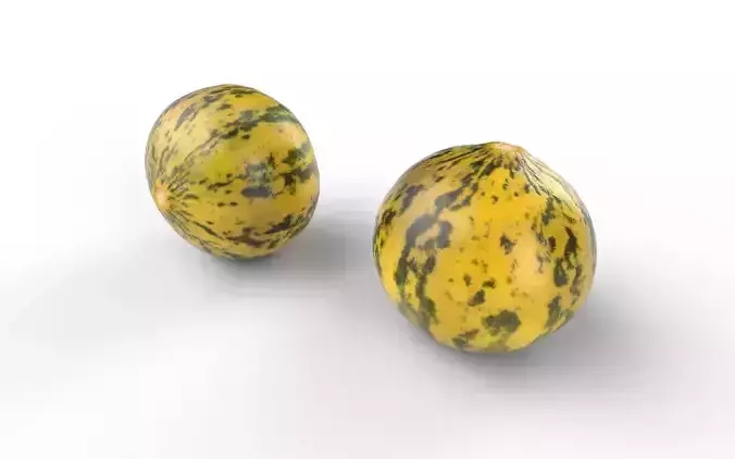 Melon M09 Low-poly 3D model 6