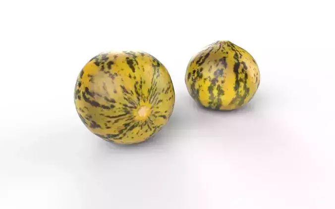 Melon M09 Low-poly 3D model 5