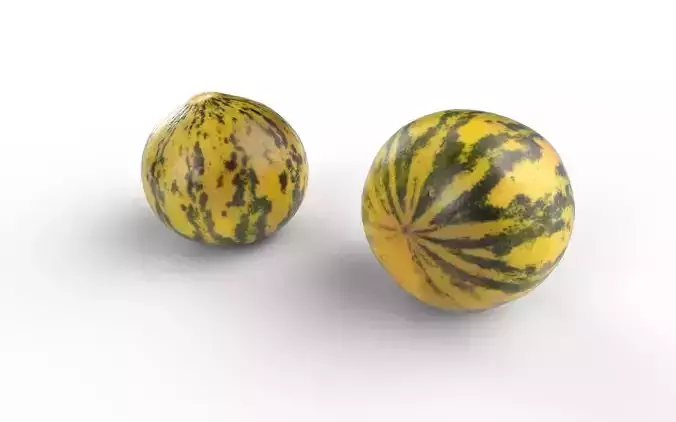 Melon M09 Low-poly 3D model 4