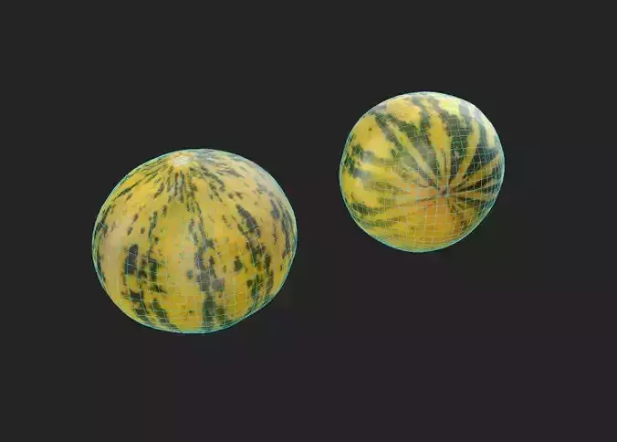 Melon M09 Low-poly 3D model 2