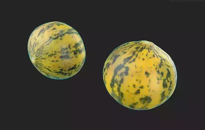 Melon M09 Low-poly 3D model 7