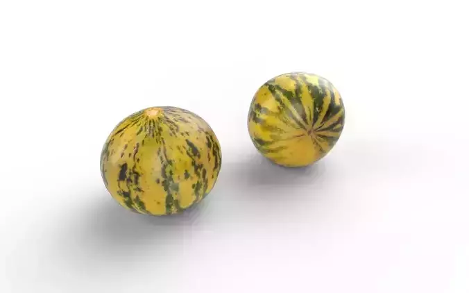 Melon M09
