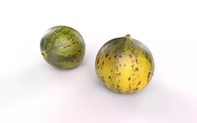 Melon M10 Low-poly 3D model 6