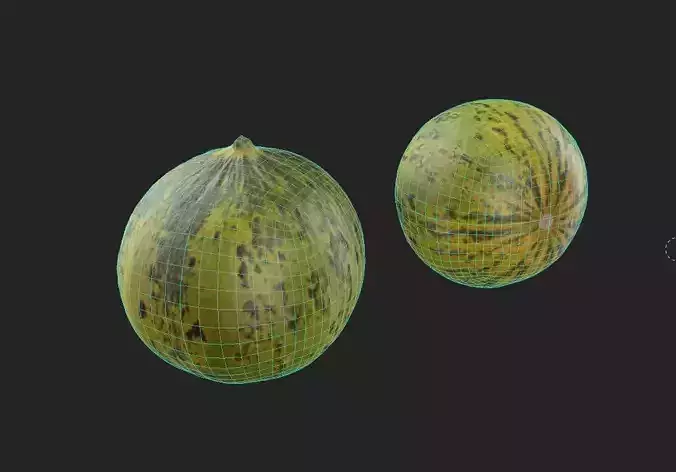 Melon M10 Low-poly 3D model 2