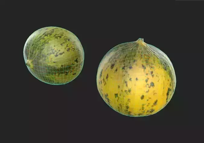 Melon M10 Low-poly 3D model 7