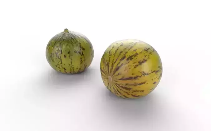 Melon M10 Low-poly 3D model 4