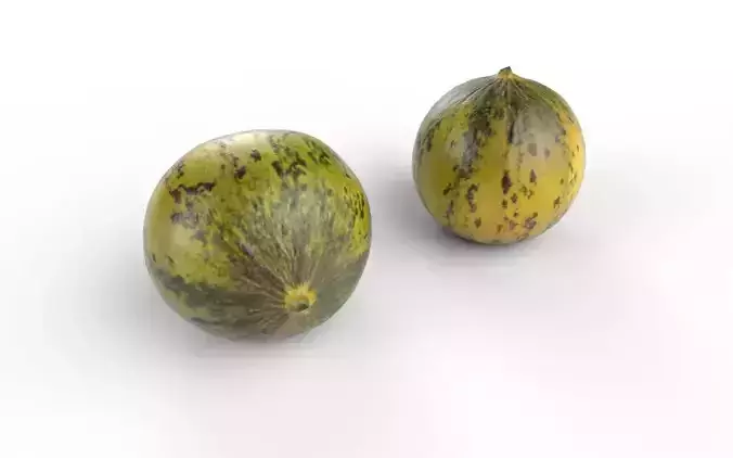 Melon M10 Low-poly 3D model 5