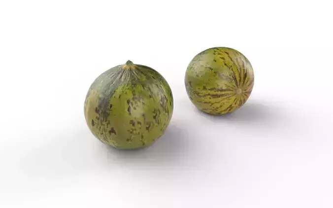 Melon M10