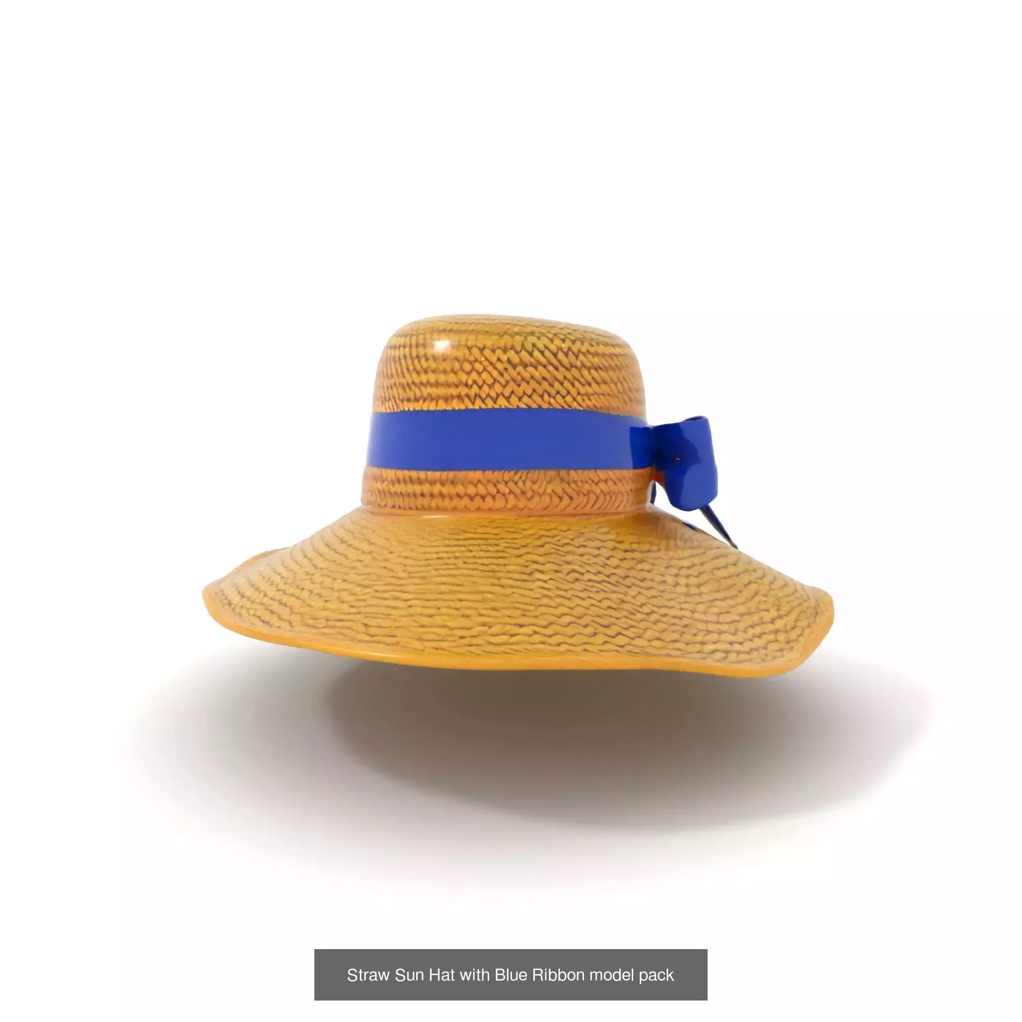 Beach Essentials 3D Pack 3D Model Collection_27