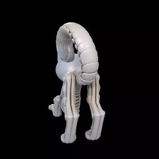 Flexi Monster High Halloween Cat 3D print model_30